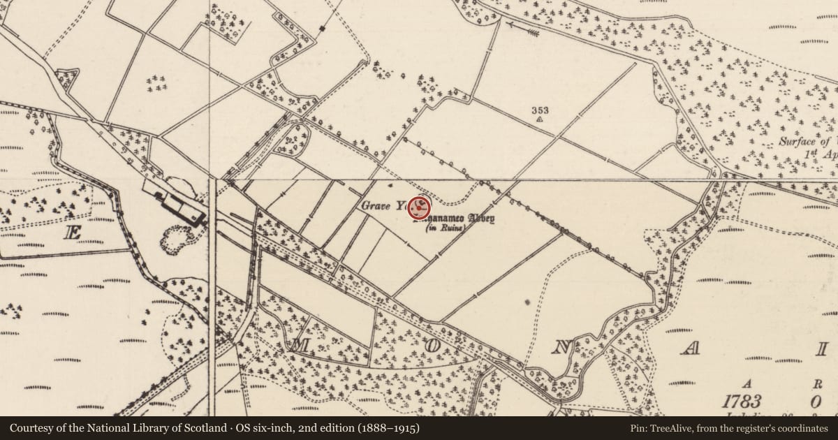 Ordnance Survey six-inch map, 2nd edition (1888–1915) covering the location of Ecclesiastical enclosure, Monaincha, County Tipperary North, with a pin at the register's coordinates