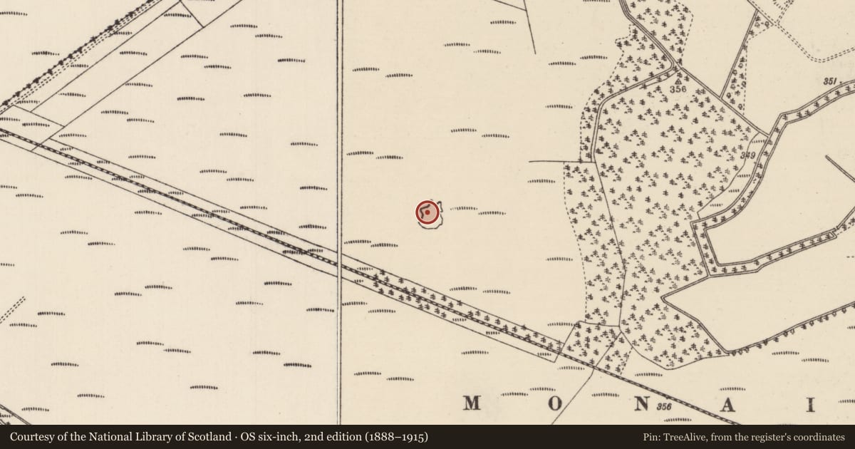 Ordnance Survey six-inch map, 2nd edition (1888–1915) covering the location of Crannog, Monaincha, County Tipperary North, with a pin at the register's coordinates