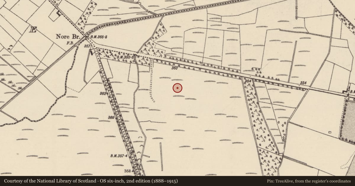Ordnance Survey six-inch map, 2nd edition (1888–1915) covering the location of Road - unclassified togher, Timoney, County Tipperary North, with a pin at the register's coordinates