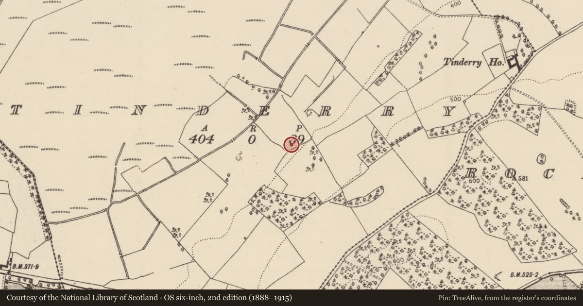 Ordnance Survey six-inch map, 2nd edition (1888–1915) covering the location of Burial, Tinderry, County Tipperary North, with a pin at the register's coordinates
