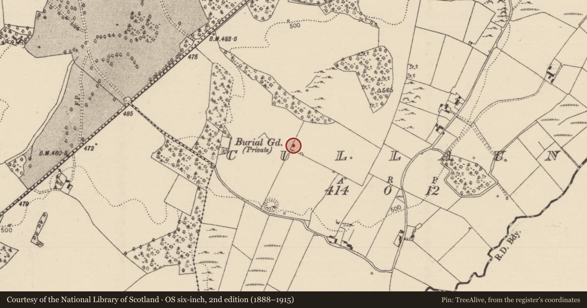 Ordnance Survey six-inch map, 2nd edition (1888–1915) covering the location of Anomalous stone group, Cullaun, County Tipperary North, with a pin at the register's coordinates