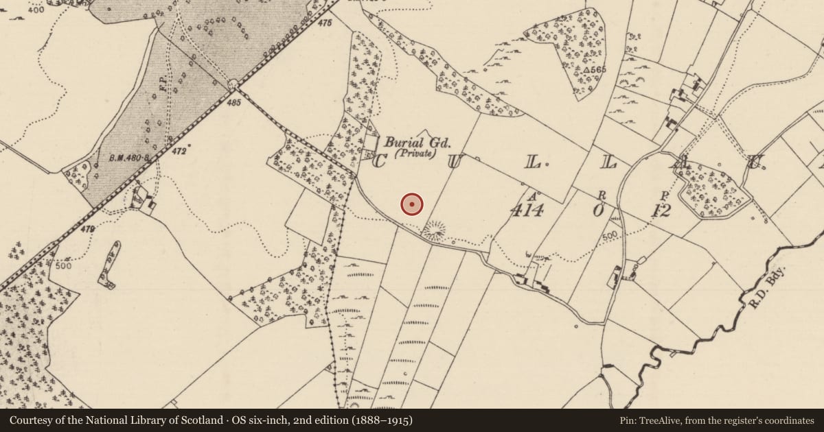 Ordnance Survey six-inch map, 2nd edition (1888–1915) covering the location of Standing stone, Cullaun, County Tipperary North, with a pin at the register's coordinates
