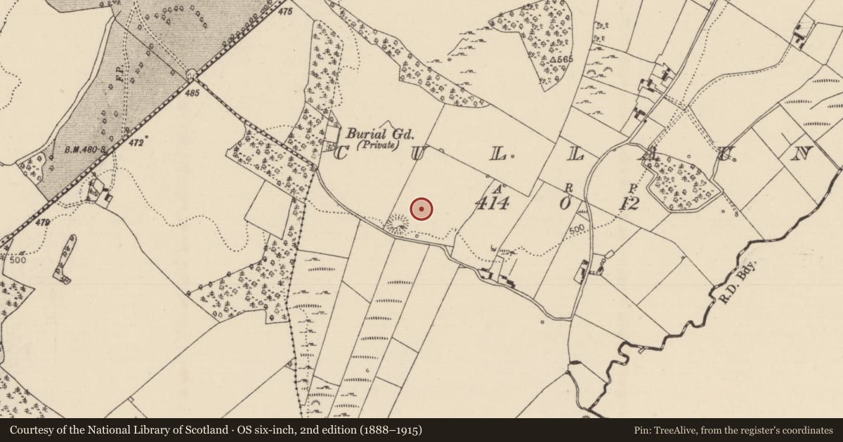 Ordnance Survey six-inch map, 2nd edition (1888–1915) covering the location of Standing stone, Cullaun, County Tipperary North, with a pin at the register's coordinates