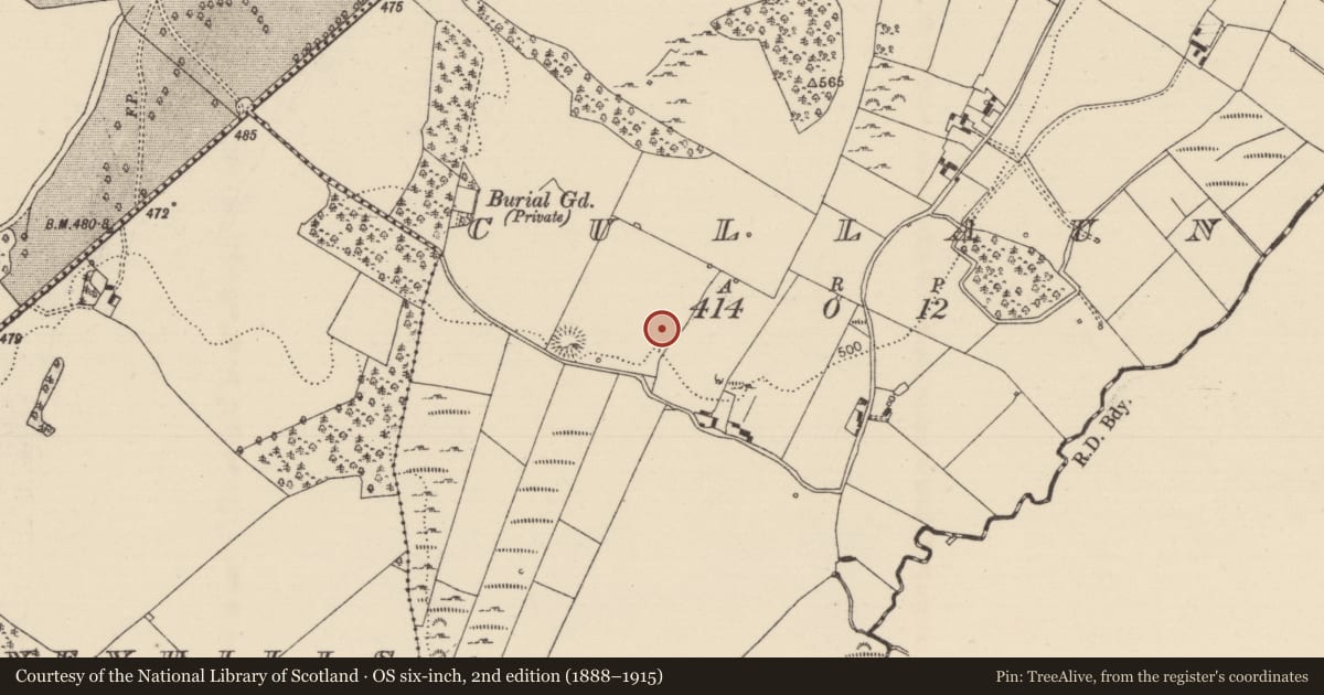 Ordnance Survey six-inch map, 2nd edition (1888–1915) covering the location of Standing stone, Cullaun, County Tipperary North, with a pin at the register's coordinates