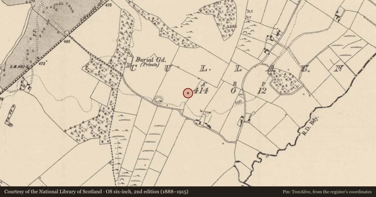 Ordnance Survey six-inch map, 2nd edition (1888–1915) covering the location of Standing stone, Cullaun, County Tipperary North, with a pin at the register's coordinates