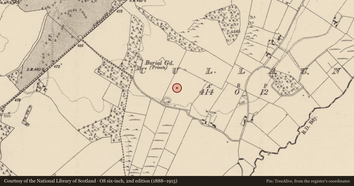 Ordnance Survey six-inch map, 2nd edition (1888–1915) covering the location of Standing stone, Cullaun, County Tipperary North, with a pin at the register's coordinates
