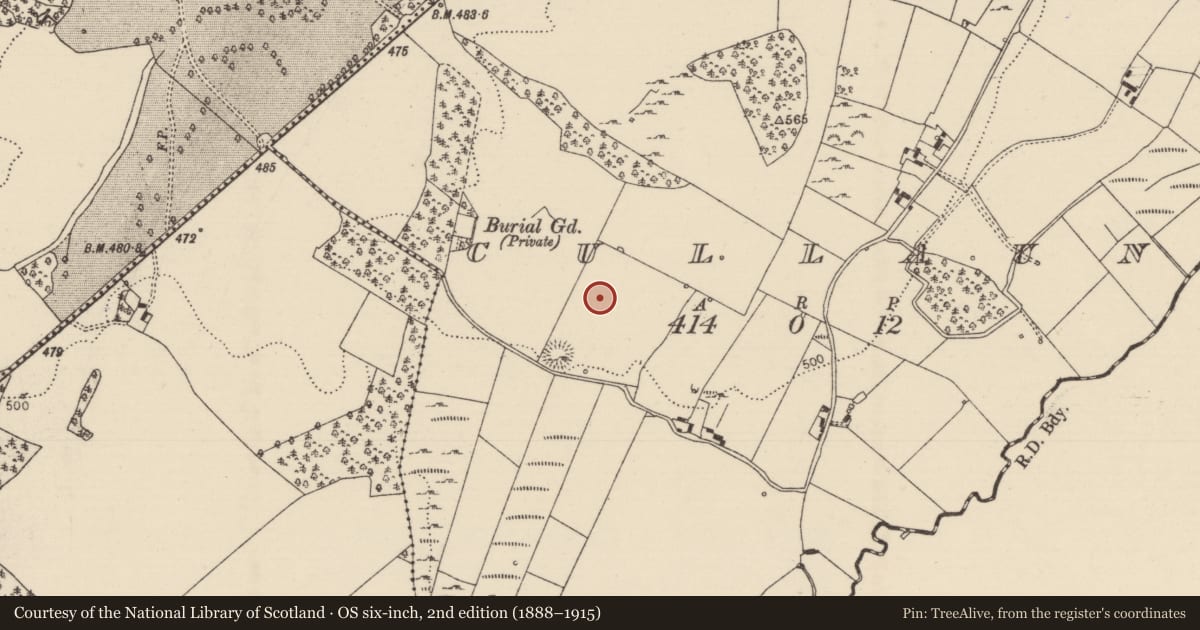Ordnance Survey six-inch map, 2nd edition (1888–1915) covering the location of Standing stone, Cullaun, County Tipperary North, with a pin at the register's coordinates