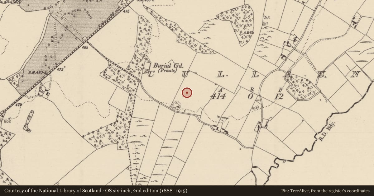 Ordnance Survey six-inch map, 2nd edition (1888–1915) covering the location of Standing stone, Cullaun, County Tipperary North, with a pin at the register's coordinates