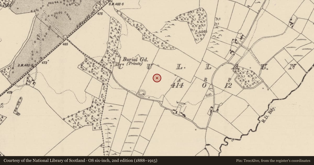Ordnance Survey six-inch map, 2nd edition (1888–1915) covering the location of Standing stone, Cullaun, County Tipperary North, with a pin at the register's coordinates