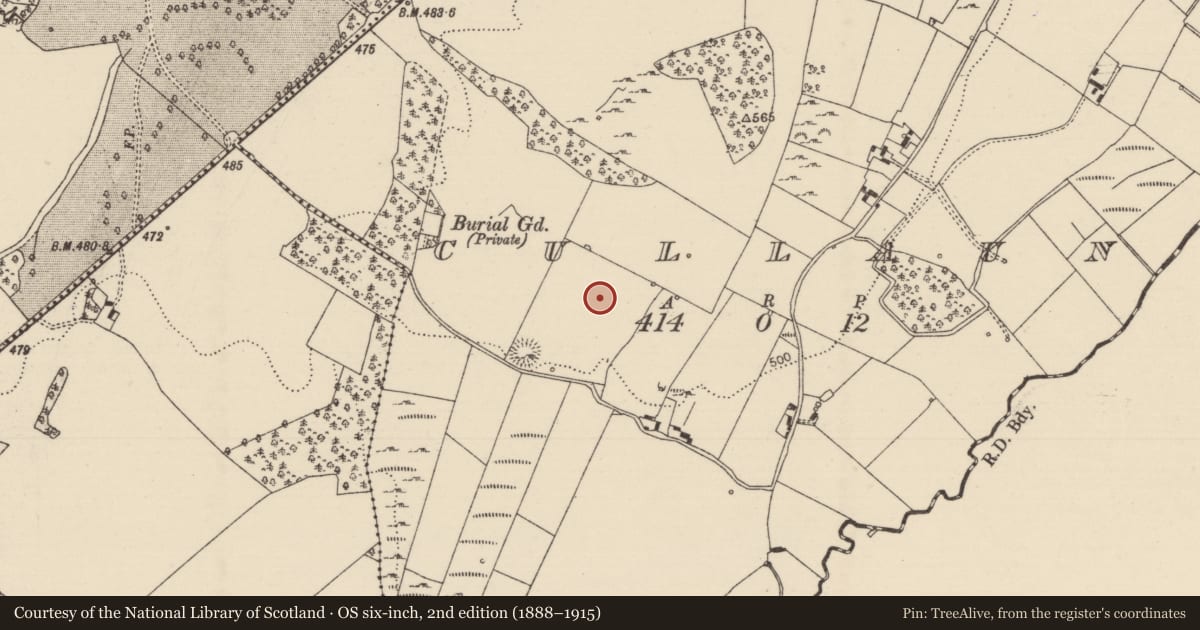 Ordnance Survey six-inch map, 2nd edition (1888–1915) covering the location of Standing stone, Cullaun, County Tipperary North, with a pin at the register's coordinates