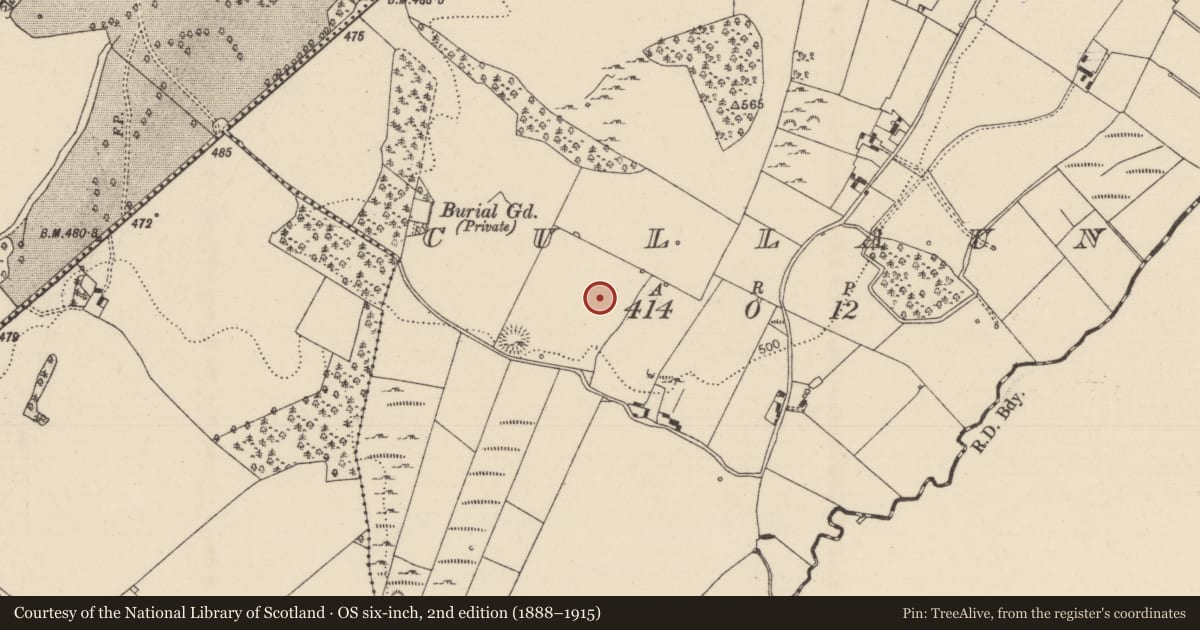 Ordnance Survey six-inch map, 2nd edition (1888–1915) covering the location of Standing stone, Cullaun, County Tipperary North, with a pin at the register's coordinates
