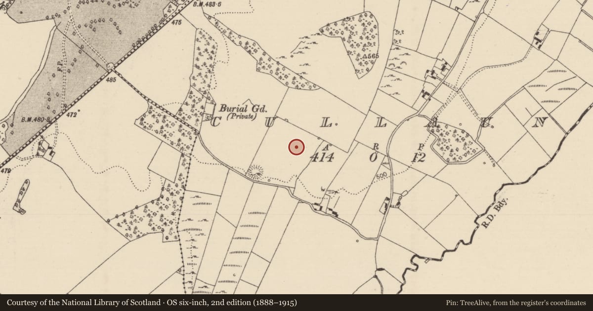 Ordnance Survey six-inch map, 2nd edition (1888–1915) covering the location of Standing stone, Cullaun, County Tipperary North, with a pin at the register's coordinates