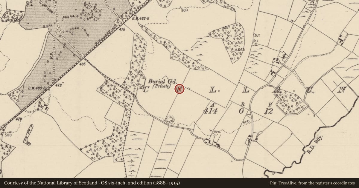 Ordnance Survey six-inch map, 2nd edition (1888–1915) covering the location of Standing stone, Cullaun, County Tipperary North, with a pin at the register's coordinates
