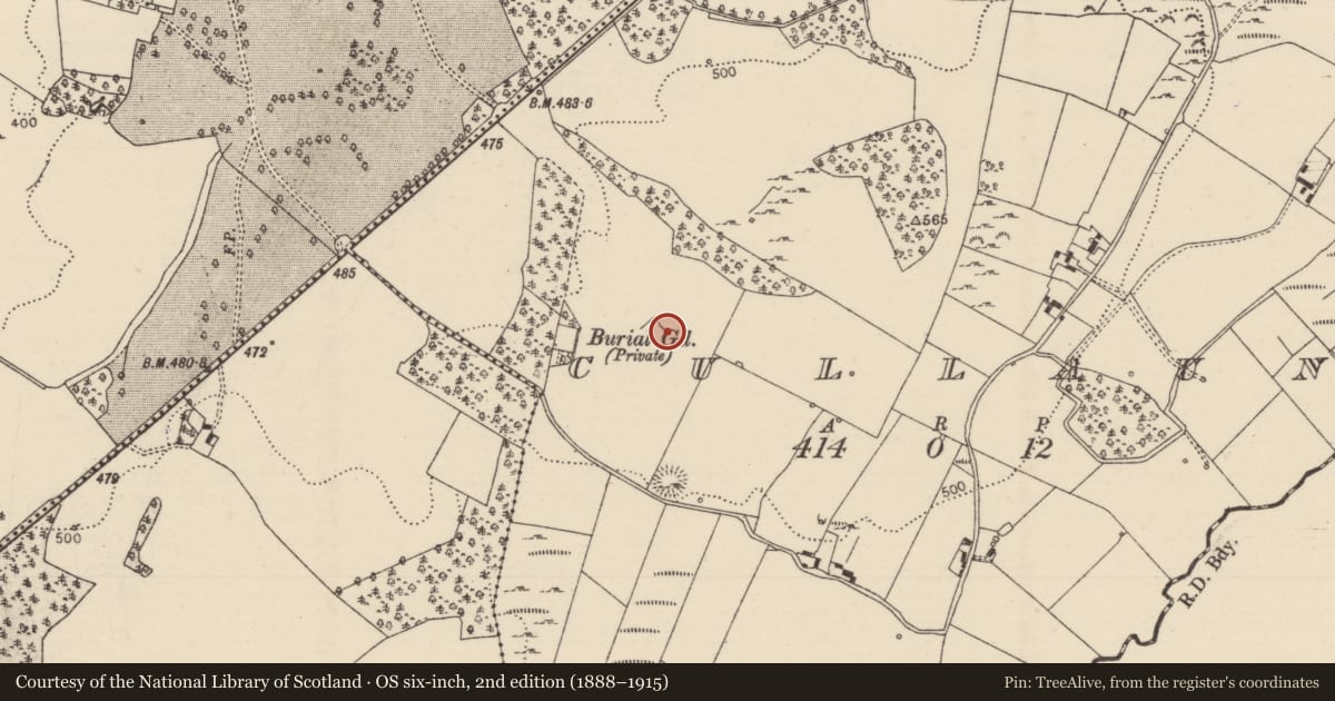 Ordnance Survey six-inch map, 2nd edition (1888–1915) covering the location of Standing stone, Cullaun, County Tipperary North, with a pin at the register's coordinates