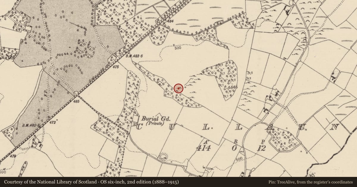 Ordnance Survey six-inch map, 2nd edition (1888–1915) covering the location of Standing stone, Cullaun, County Tipperary North, with a pin at the register's coordinates