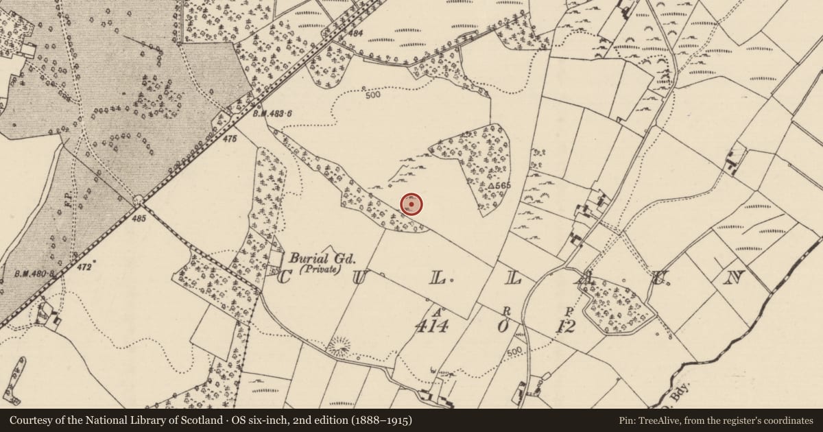 Ordnance Survey six-inch map, 2nd edition (1888–1915) covering the location of Standing stone, Cullaun, County Tipperary North, with a pin at the register's coordinates