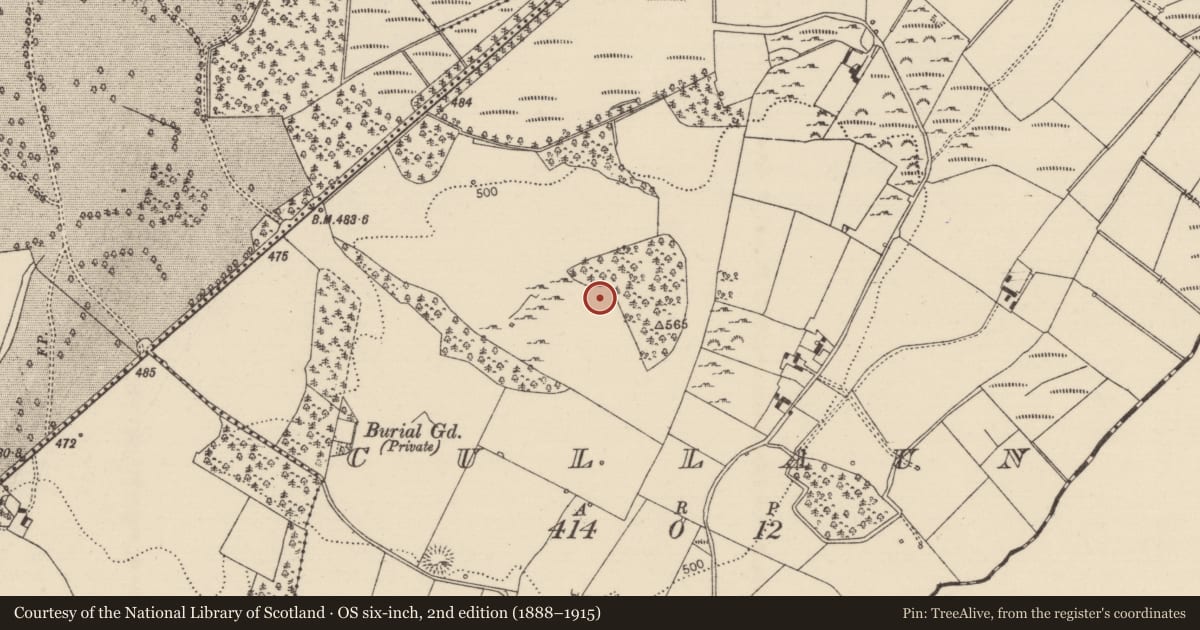 Ordnance Survey six-inch map, 2nd edition (1888–1915) covering the location of Standing stone, Cullaun, County Tipperary North, with a pin at the register's coordinates