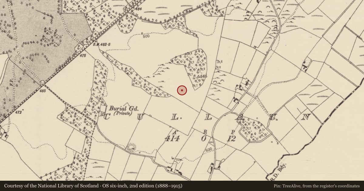 Ordnance Survey six-inch map, 2nd edition (1888–1915) covering the location of Standing stone, Cullaun, County Tipperary North, with a pin at the register's coordinates
