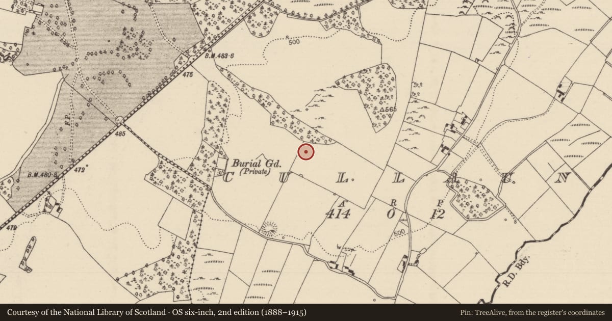 Ordnance Survey six-inch map, 2nd edition (1888–1915) covering the location of Standing stone, Cullaun, County Tipperary North, with a pin at the register's coordinates