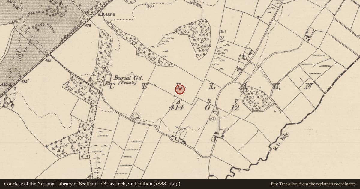 Ordnance Survey six-inch map, 2nd edition (1888–1915) covering the location of Standing stone, Cullaun, County Tipperary North, with a pin at the register's coordinates