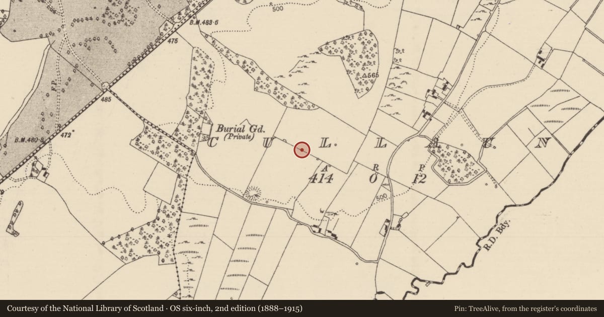 Ordnance Survey six-inch map, 2nd edition (1888–1915) covering the location of Standing stone, Cullaun, County Tipperary North, with a pin at the register's coordinates