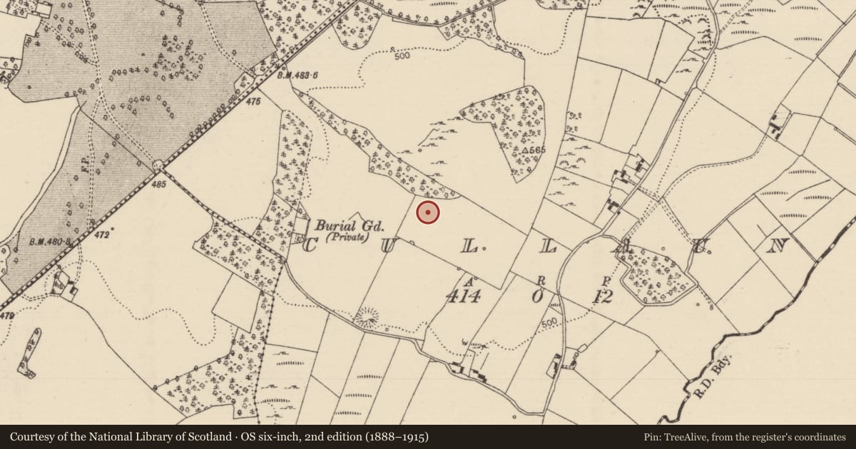 Ordnance Survey six-inch map, 2nd edition (1888–1915) covering the location of Standing stone, Cullaun, County Tipperary North, with a pin at the register's coordinates