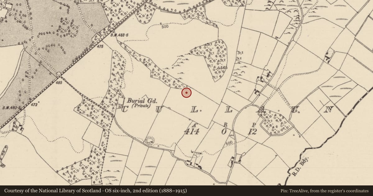 Ordnance Survey six-inch map, 2nd edition (1888–1915) covering the location of Standing stone, Cullaun, County Tipperary North, with a pin at the register's coordinates