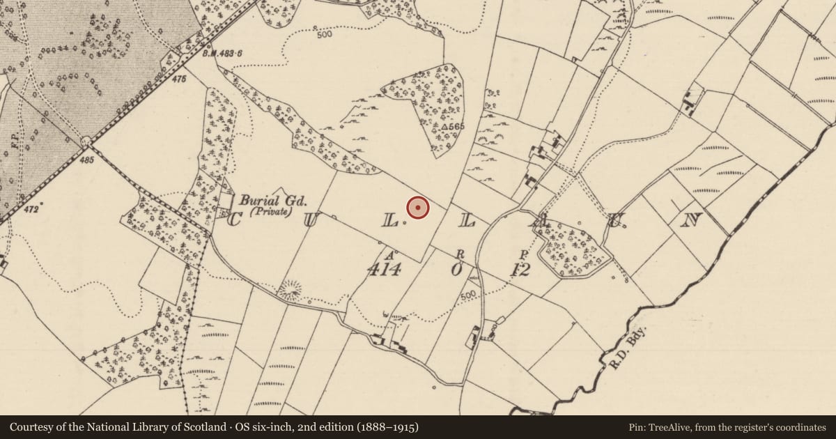 Ordnance Survey six-inch map, 2nd edition (1888–1915) covering the location of Standing stone, Cullaun, County Tipperary North, with a pin at the register's coordinates