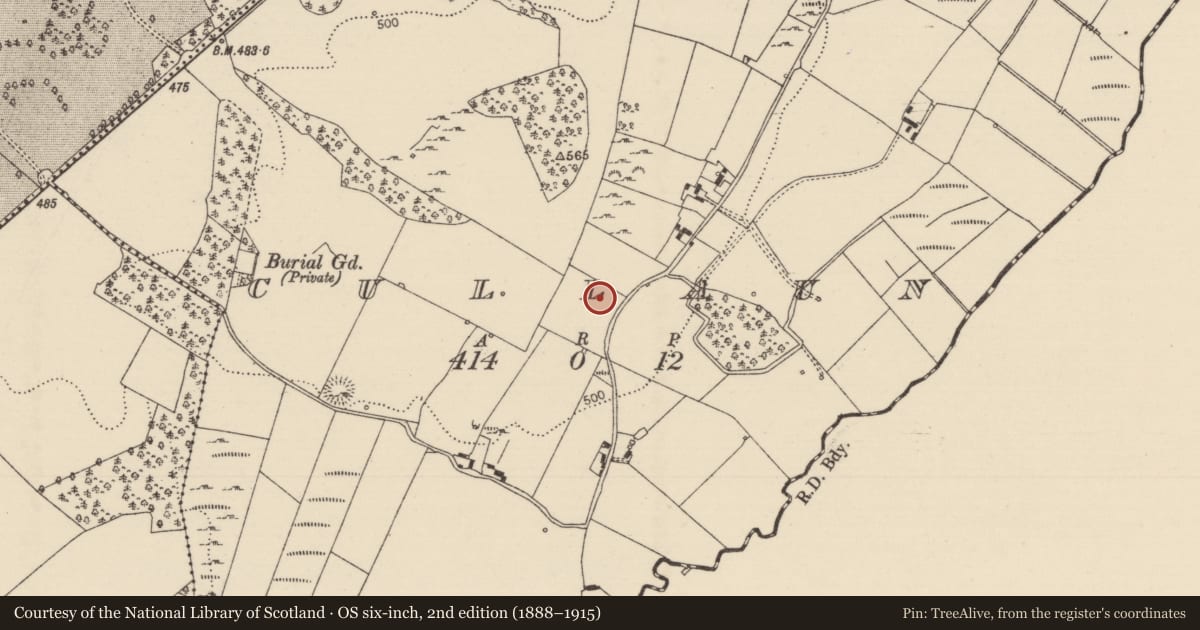 Ordnance Survey six-inch map, 2nd edition (1888–1915) covering the location of Enclosure, Cullaun, County Tipperary North, with a pin at the register's coordinates
