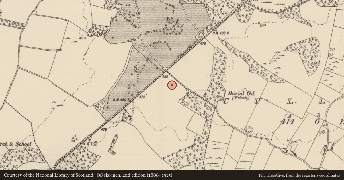 Ordnance Survey six-inch map, 2nd edition (1888–1915) covering the location of Standing stone, Timoney Hills, County Tipperary North, with a pin at the register's coordinates