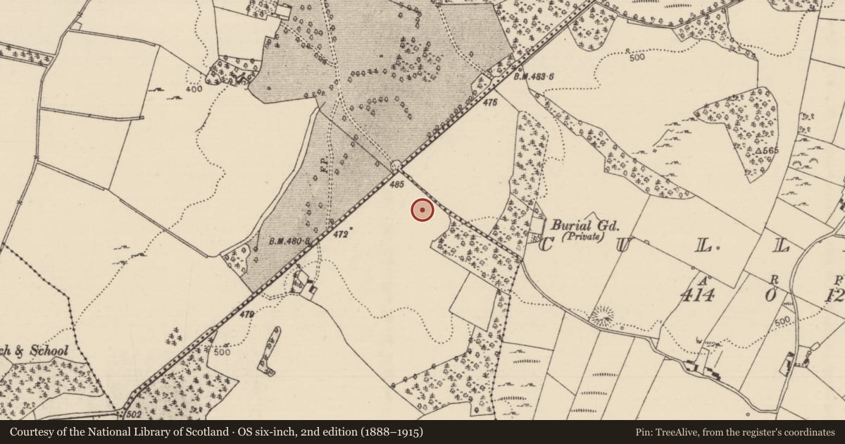Ordnance Survey six-inch map, 2nd edition (1888–1915) covering the location of Standing stone, Timoney Hills, County Tipperary North, with a pin at the register's coordinates