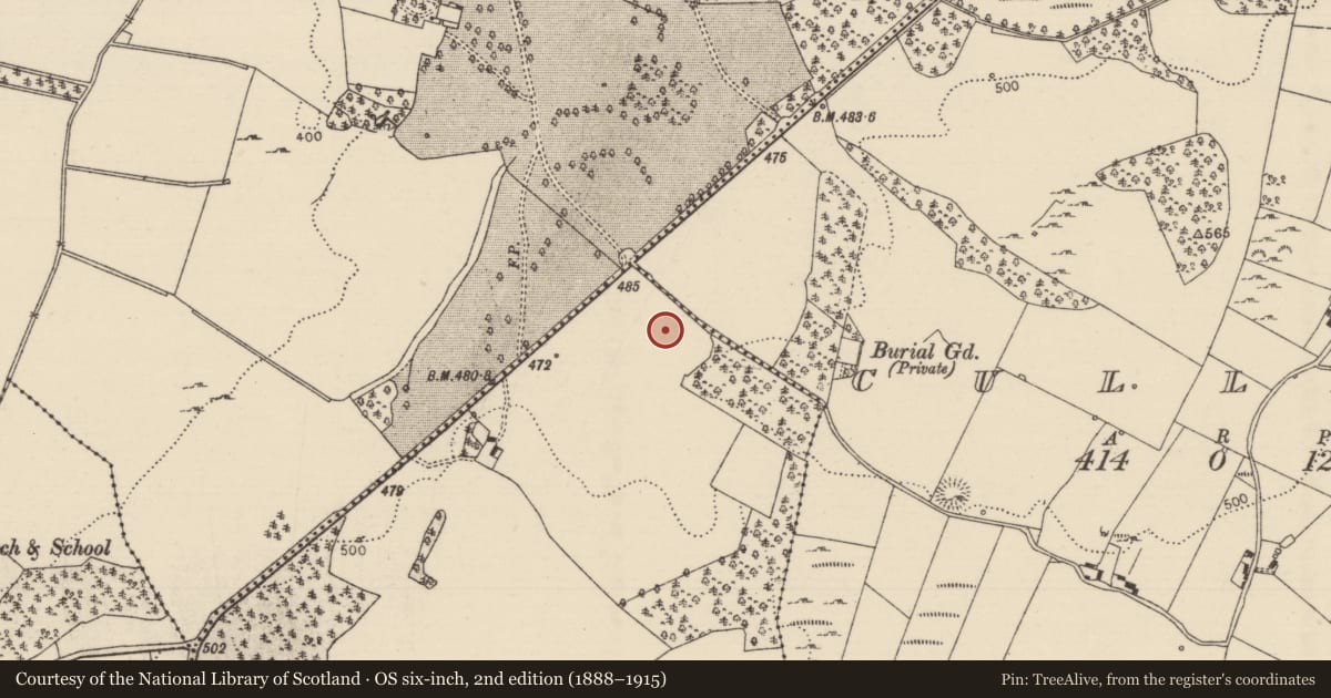 Ordnance Survey six-inch map, 2nd edition (1888–1915) covering the location of Standing stone, Timoney Hills, County Tipperary North, with a pin at the register's coordinates