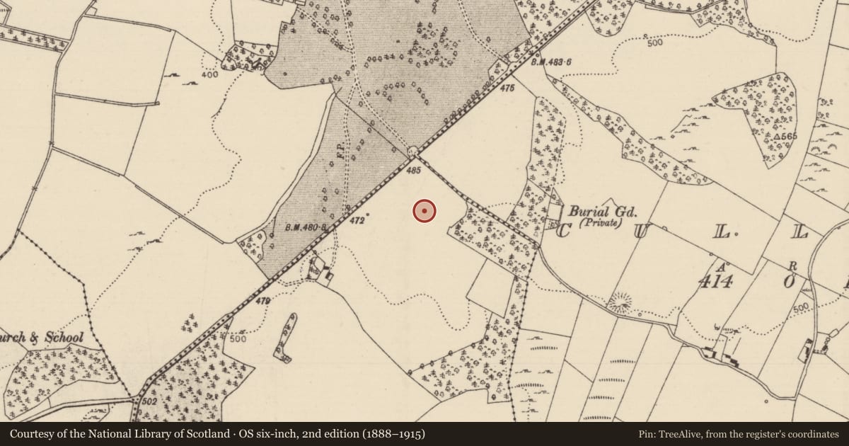 Ordnance Survey six-inch map, 2nd edition (1888–1915) covering the location of Standing stone, Timoney Hills, County Tipperary North, with a pin at the register's coordinates