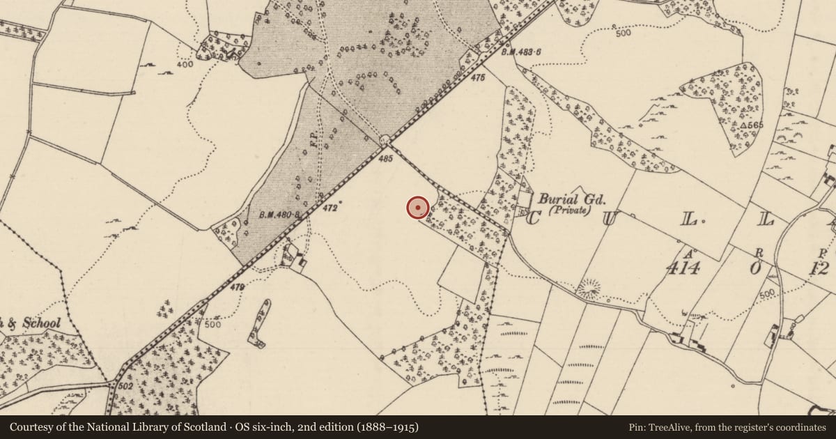 Ordnance Survey six-inch map, 2nd edition (1888–1915) covering the location of Standing stone (present location), Timoney Hills, County Tipperary North, with a pin at the register's coordinates