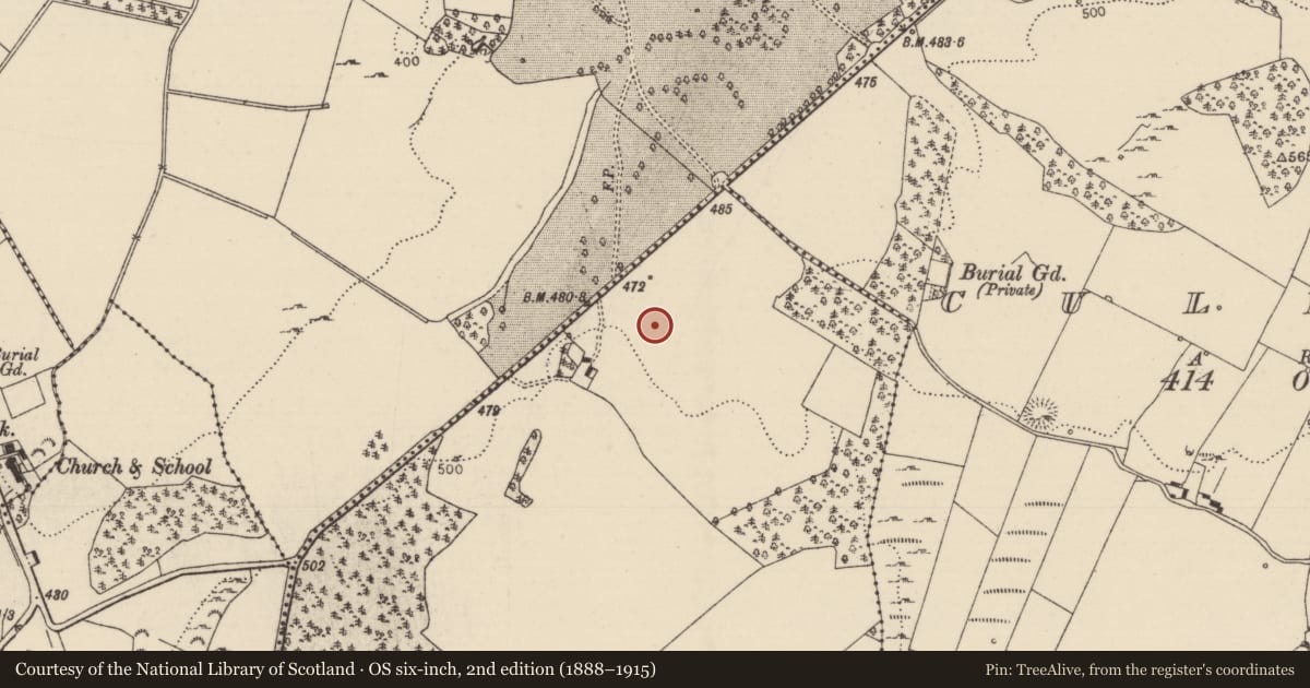 Ordnance Survey six-inch map, 2nd edition (1888–1915) covering the location of Standing stone, Timoney Hills, County Tipperary North, with a pin at the register's coordinates