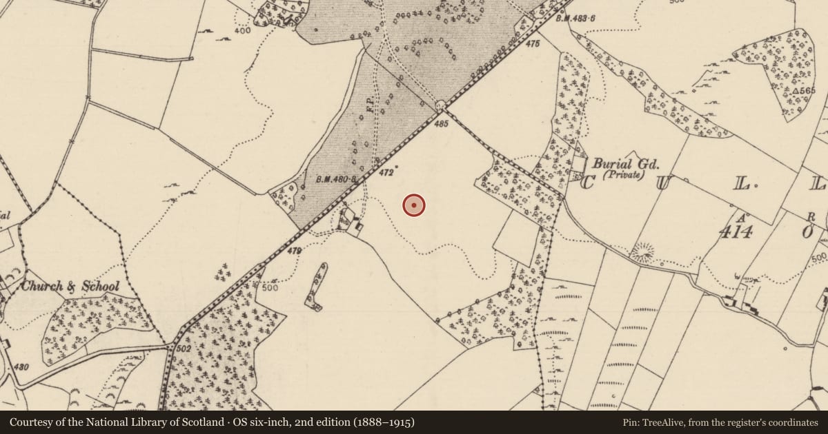 Ordnance Survey six-inch map, 2nd edition (1888–1915) covering the location of Standing stone, Timoney Hills, County Tipperary North, with a pin at the register's coordinates