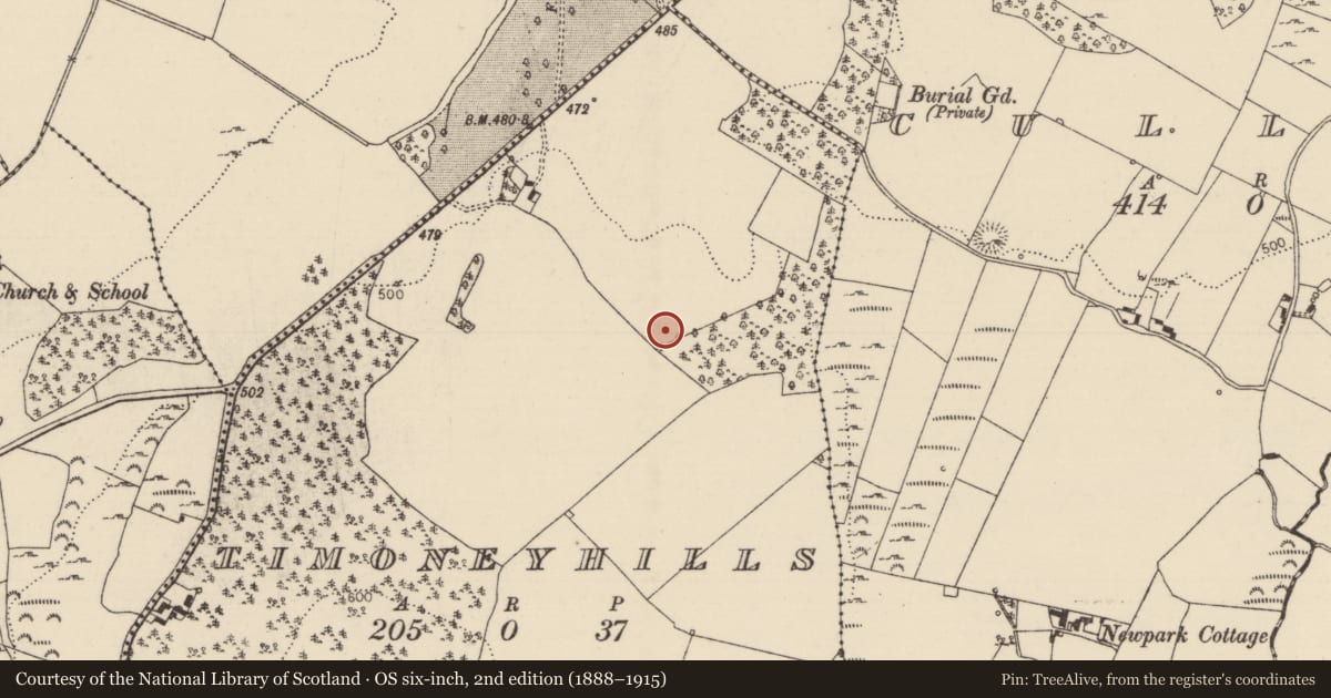 Ordnance Survey six-inch map, 2nd edition (1888–1915) covering the location of Standing stone, Timoney Hills, County Tipperary North, with a pin at the register's coordinates