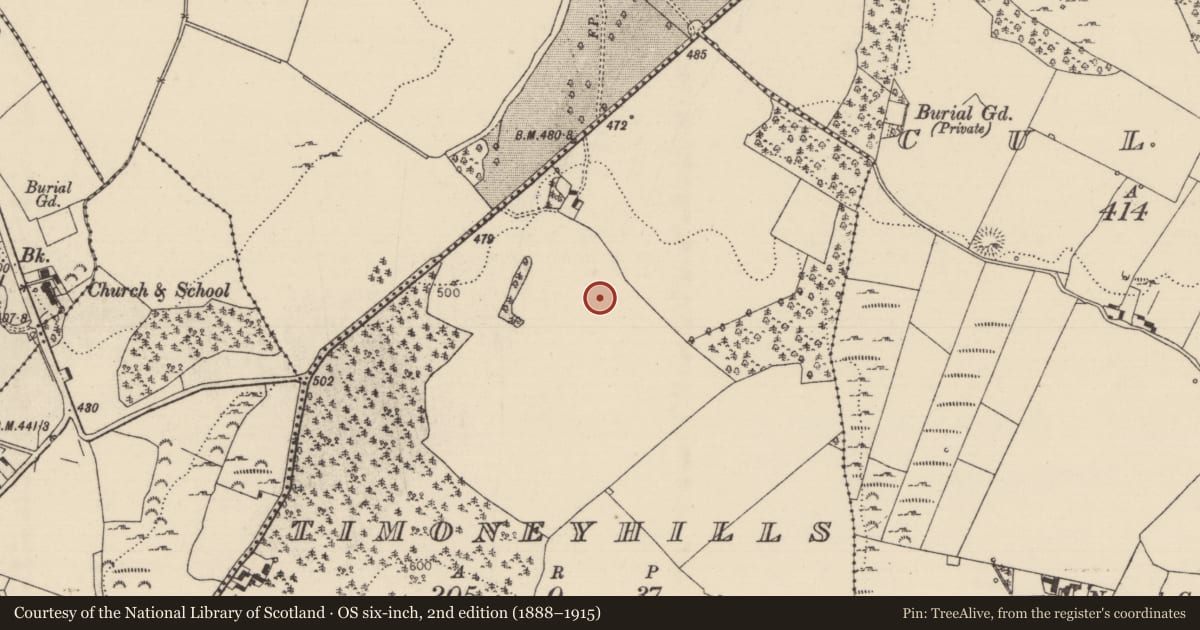 Ordnance Survey six-inch map, 2nd edition (1888–1915) covering the location of Standing stone, Timoney Hills, County Tipperary North, with a pin at the register's coordinates