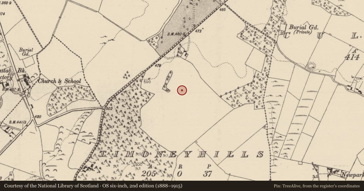 Ordnance Survey six-inch map, 2nd edition (1888–1915) covering the location of Standing stone, Timoney Hills, County Tipperary North, with a pin at the register's coordinates