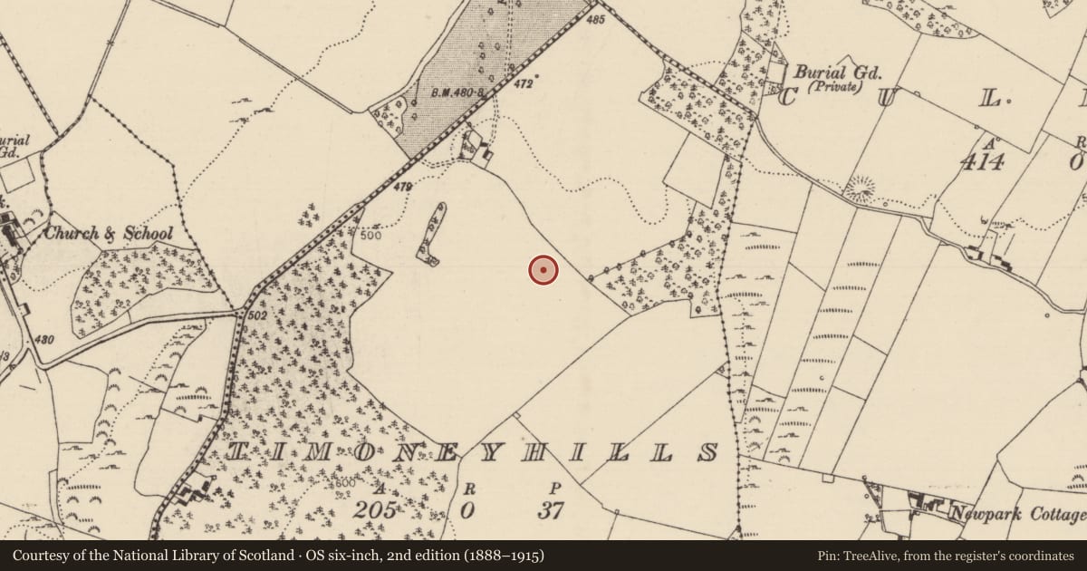Ordnance Survey six-inch map, 2nd edition (1888–1915) covering the location of Standing stone, Timoney Hills, County Tipperary North, with a pin at the register's coordinates