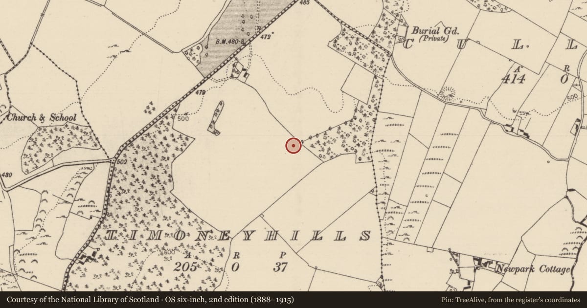 Ordnance Survey six-inch map, 2nd edition (1888–1915) covering the location of Standing stone, Timoney Hills, County Tipperary North, with a pin at the register's coordinates