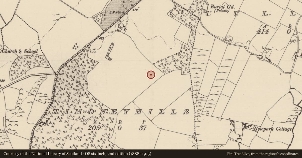 Ordnance Survey six-inch map, 2nd edition (1888–1915) covering the location of Standing stone, Timoney Hills, County Tipperary North, with a pin at the register's coordinates
