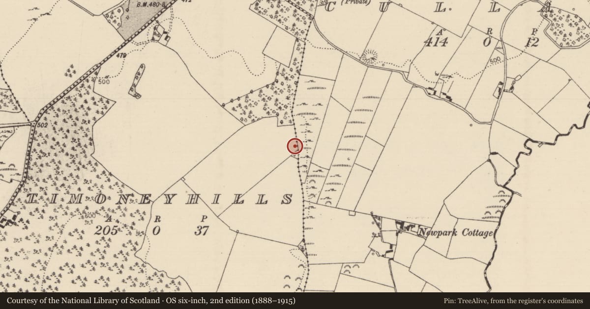 Ordnance Survey six-inch map, 2nd edition (1888–1915) covering the location of Standing stone, Timoney Hills, County Tipperary North, with a pin at the register's coordinates