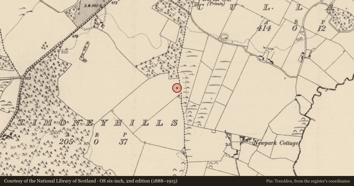 Ordnance Survey six-inch map, 2nd edition (1888–1915) covering the location of Standing stone, Timoney Hills, County Tipperary North, with a pin at the register's coordinates