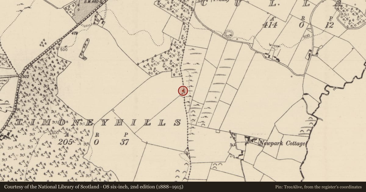 Ordnance Survey six-inch map, 2nd edition (1888–1915) covering the location of Standing stone, Timoney Hills, County Tipperary North, with a pin at the register's coordinates