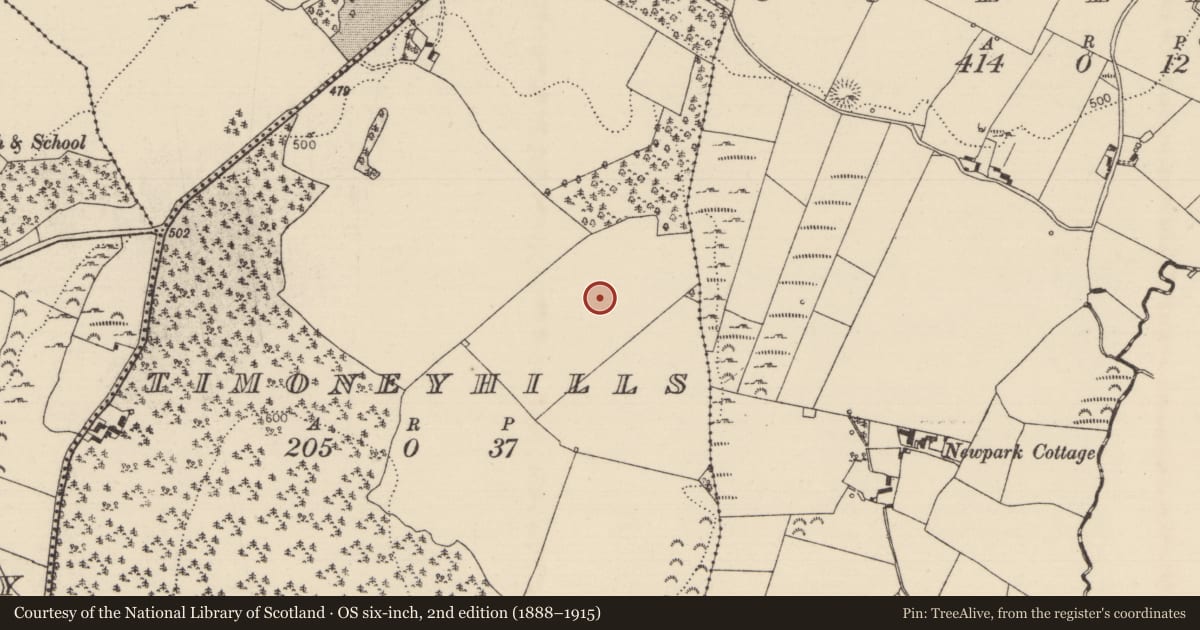 Ordnance Survey six-inch map, 2nd edition (1888–1915) covering the location of Standing stone, Timoney Hills, County Tipperary North, with a pin at the register's coordinates