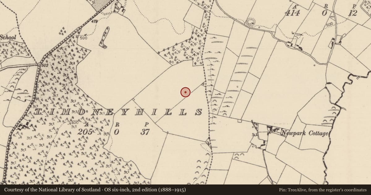 Ordnance Survey six-inch map, 2nd edition (1888–1915) covering the location of Standing stone, Timoney Hills, County Tipperary North, with a pin at the register's coordinates