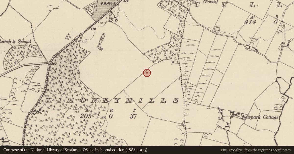 Ordnance Survey six-inch map, 2nd edition (1888–1915) covering the location of Standing stone, Timoney Hills, County Tipperary North, with a pin at the register's coordinates