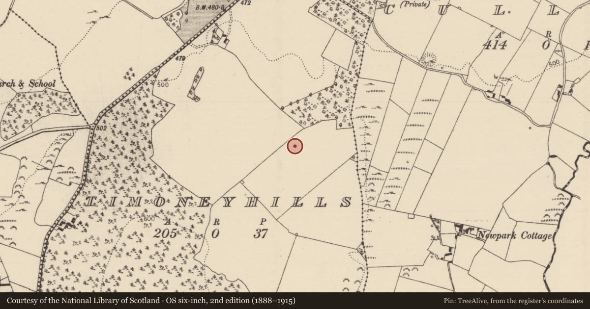 Ordnance Survey six-inch map, 2nd edition (1888–1915) covering the location of Standing stone, Timoney Hills, County Tipperary North, with a pin at the register's coordinates