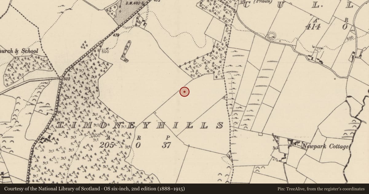 Ordnance Survey six-inch map, 2nd edition (1888–1915) covering the location of Standing stone, Timoney Hills, County Tipperary North, with a pin at the register's coordinates